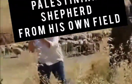 Thumbnail preview image for the video titled: In Khirbet al-Farsiya, Israeli soldier evicts Palestinian shepherd from his own field