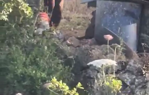 Thumbnail preview image for the video titled: An Israeli settler brutally beat a chained-up guard dog outside a Palestinian home in Atara