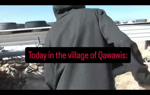 Thumbnail preview image for the video titled: In Qawawis, the settler Yehoyariv Shvo drove an ATV toward activists trying to prevent him from looting Palestinian sheep