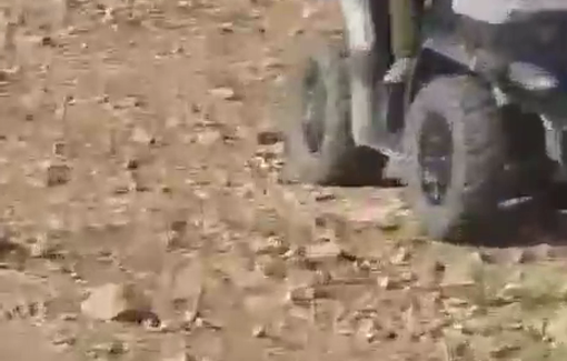 Thumbnail preview image for the video titled: Israeli settler pursue shepherds of the Bedouin community of Khan Al-Ahmar to force them out of their traditional grazing area