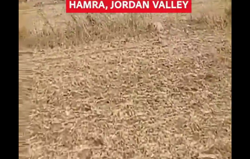 Thumbnail preview image for the video titled: Sancioned Moshe Sharvit, continues to threaten Palestinians in the Jordan Valley, with support from the Israeli army.