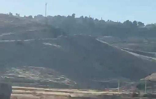Thumbnail preview image for the video titled: Settlers release their livestock into agricultural lands and crops in the Al-Jalatiya area east of Idhna