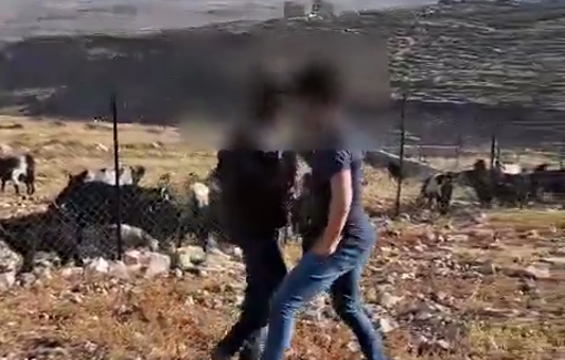 Thumbnail preview image for the video titled: Settlers invade Palestinian Home in Taybe Junction , then attack activists who try to stop them