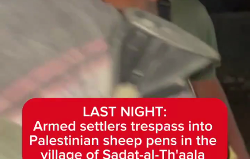 Thumbnail preview image for the video titled: Backed by soldiers, Shimon Atiya from Shorashim farm invaded houses and sheep pens in Saadet Tha'lah