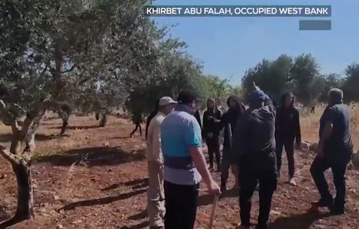 Thumbnail preview image for the video titled: Illegal Israeli settlers attacked Khirbet Abu Falah residents protesting access to their farmland