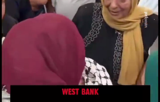 Thumbnail preview image for the video titled: Ahmad Marouf Zaid (4 months old), passed away after being denied reach an ambulance by Israeli forces