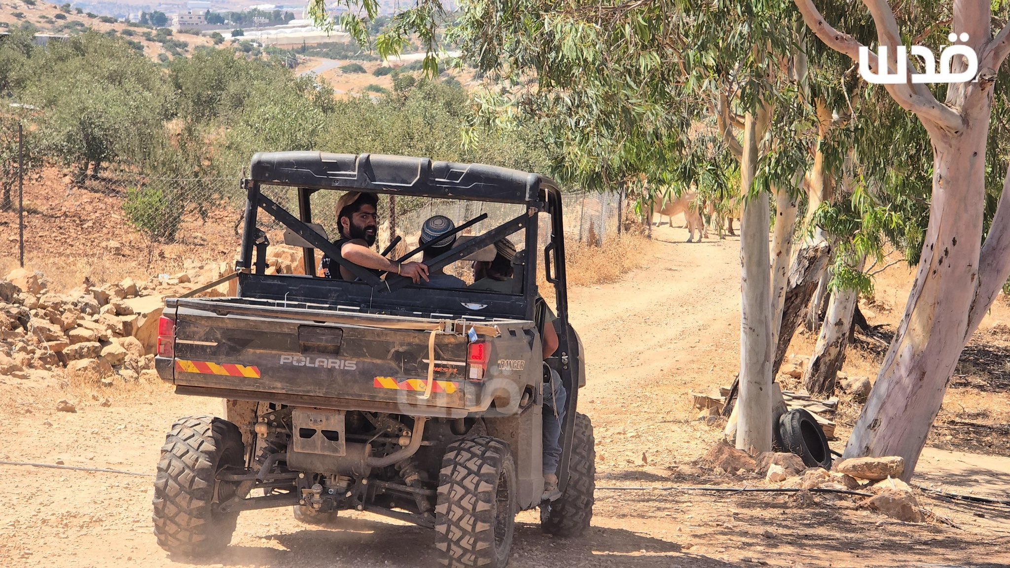 Thumbnail preview image for the video titled: Israeli settlers perform provocative tours in the vicinity of Palestinian-owned homes in Khirbet Yerza