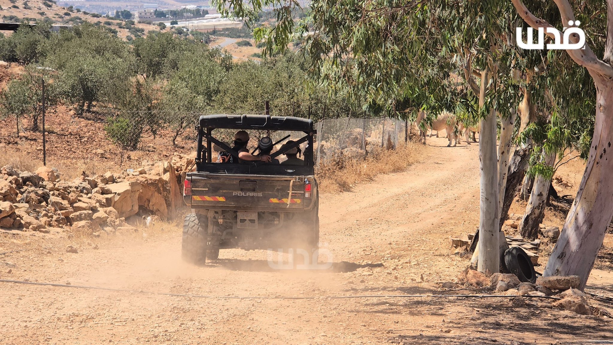 Thumbnail preview image for the video titled: Israeli settlers perform provocative tours in the vicinity of Palestinian-owned homes in Khirbet Yerza