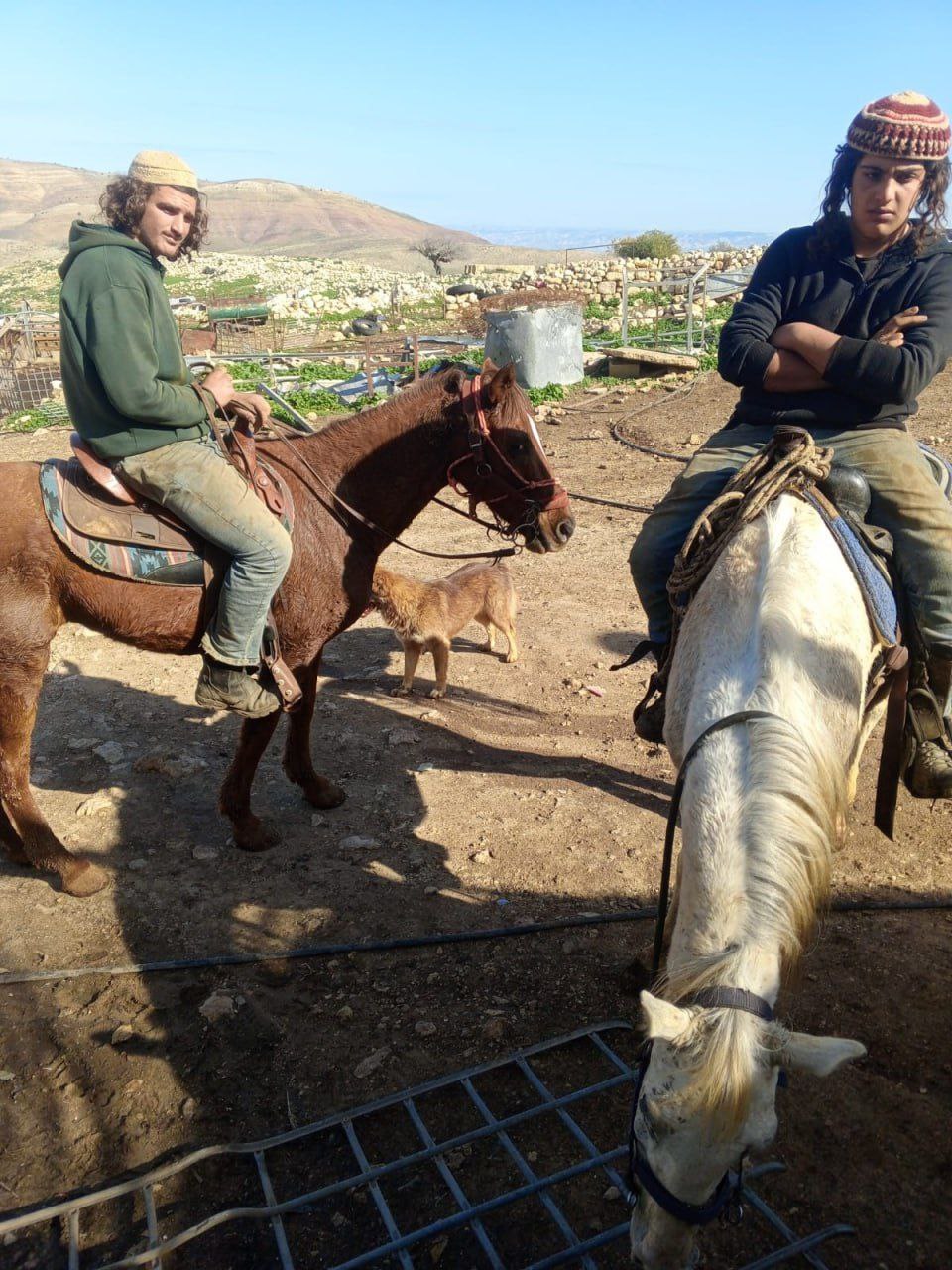 Thumbnail preview image for the video titled: Settler gangs obstructed the work of Central Elections Commission teams in the Khirbet Yerza community