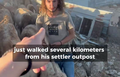 Thumbnail preview image for the video titled: Settler invading yard and harassing the Palestinians community in Taybeh Junction