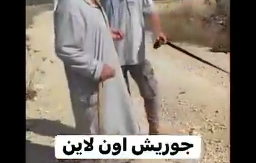 Thumbnail preview image for the video titled: Israeli settler forcing Palestinian farmers to leave their olive orchards in the village of Jurish