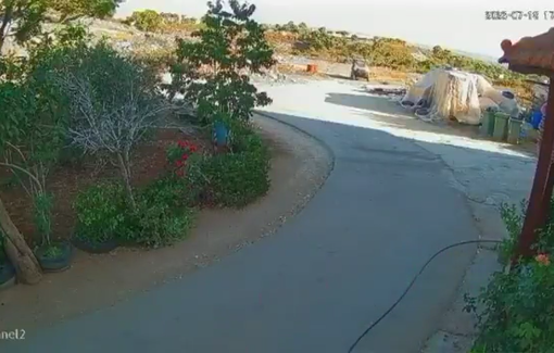 Thumbnail preview image for the video titled: A Jewish settler chases Palestinian children in Khirbet Masoud, west of Jenin