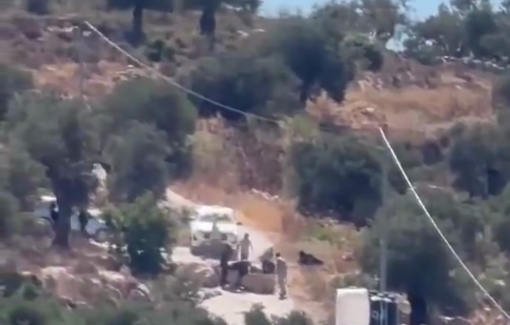Thumbnail preview image for the video titled: Israeli settlers, backed by army soldiers, steal Palestinian-owned sheep and attack homes in the village of Ein Arik