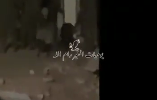 Thumbnail preview image for the video titled: Israeli soldiers covering for a settler as he steals a sheep from a home in Deir Jarir