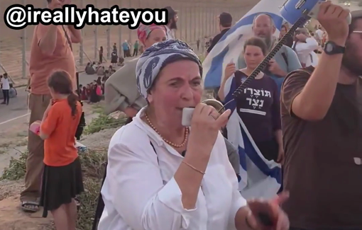 Thumbnail preview image for the video titled: "There won't be any Arabs in Gaza anymore"