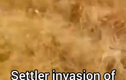 Thumbnail preview image for the video titled: Sanctioned settler Moshe Sharvit invaded land and threatened the Palestinian farmer in "Beit Hassan"