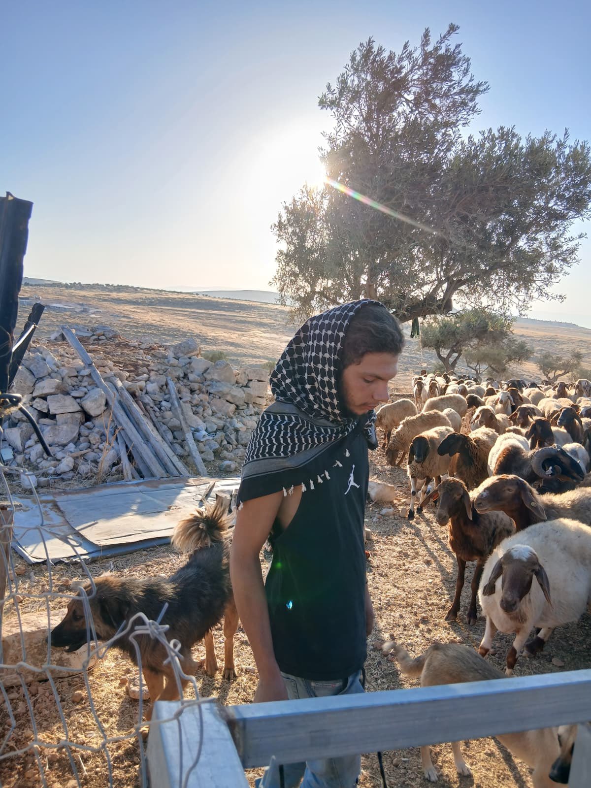 Thumbnail preview image for the video titled: A settler, alone, can invade a Bedouin community and use their home as if it were his own
