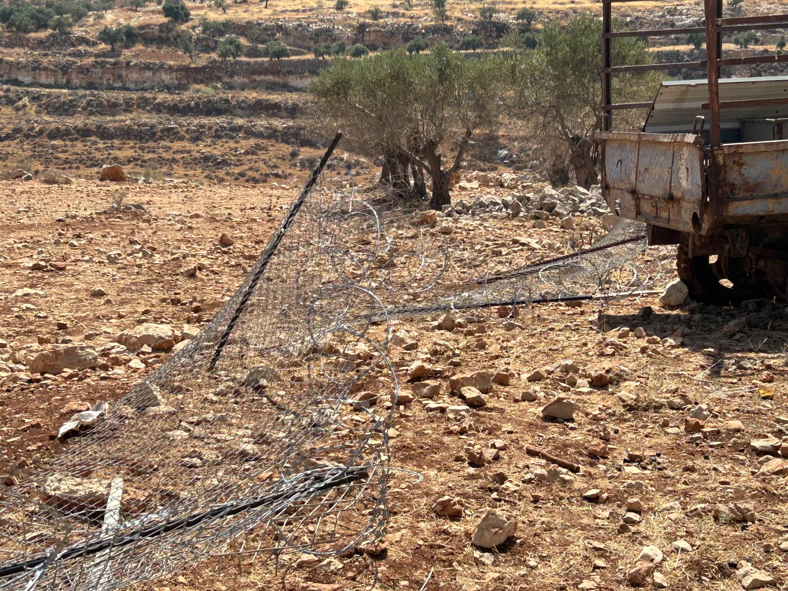 Thumbnail preview image for the video titled: In the Taybeh Junction, settlers come to their homes, cut fences, and sow destruction and fear