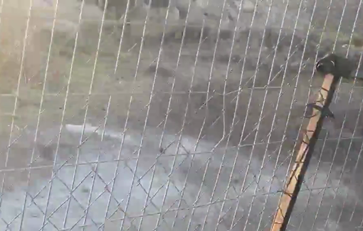 Thumbnail preview image for the video titled: As soon as MK Cassif ended his visit, a settler teenager resumed his attack on the property fence.