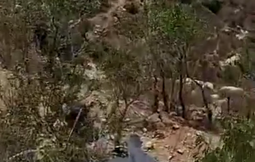 Thumbnail preview image for the video titled: Israeli army seized the Palestinian houses in Qusra but doesn't evacuate the settlers