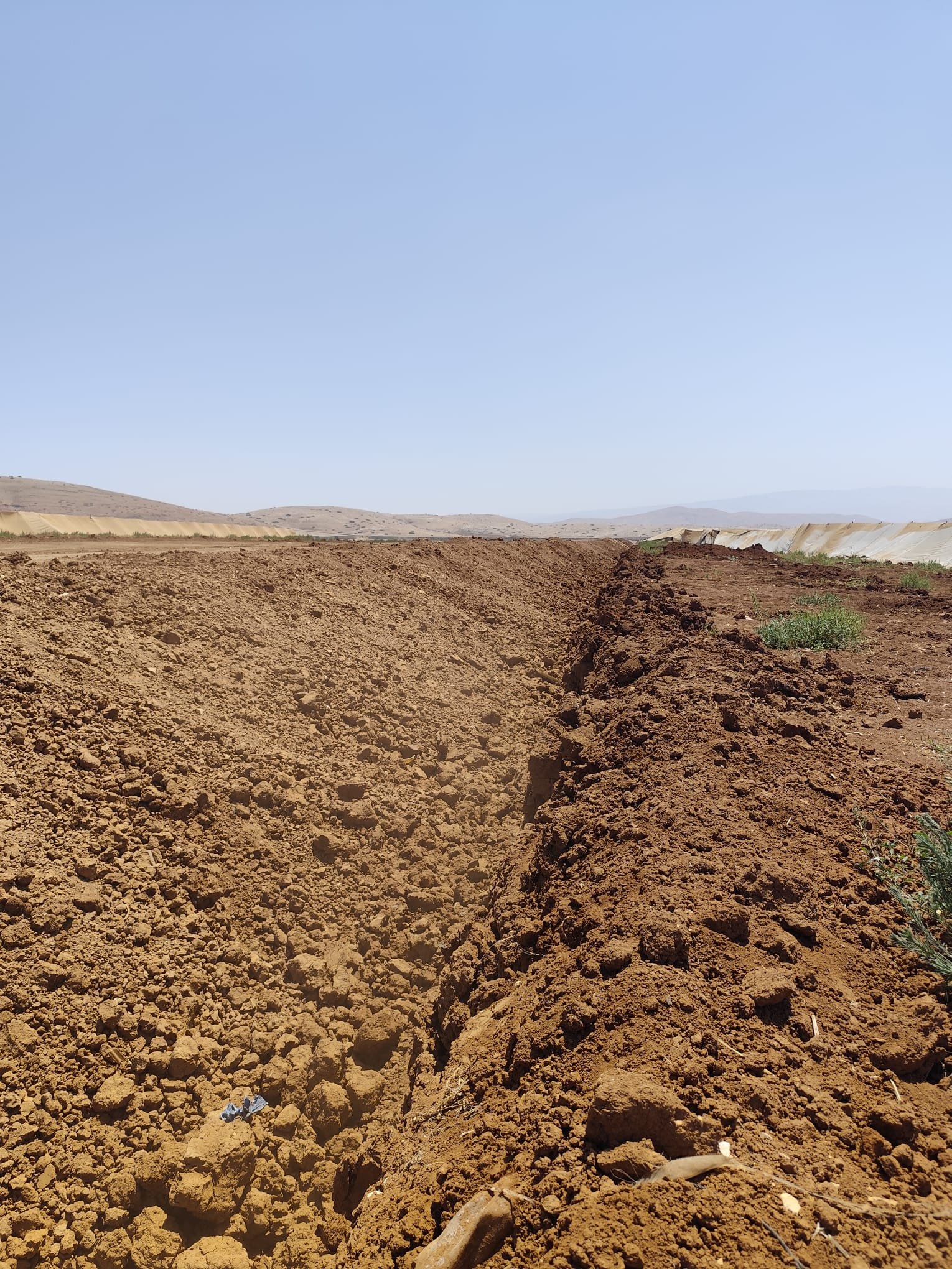 Thumbnail preview image for the video titled: The "Crimson Thread" barrier is built over Palestinian agricultural lands and greenhouses in the Jordan Valley