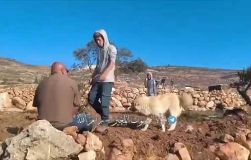Thumbnail preview image for the video titled: Gang of Israeli settler teenAgers attack Palestinians in Shaab al-Louz in the village of Al-Mughayyir
