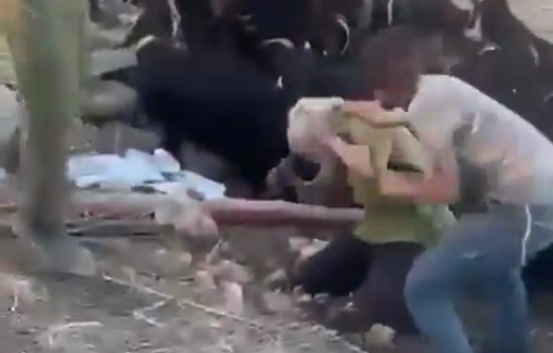 Thumbnail preview image for the video titled: Naif Kaabne, a Bedouin from Taybeh, who's family is facing constant settler attacks, interviewed to Israeli radio