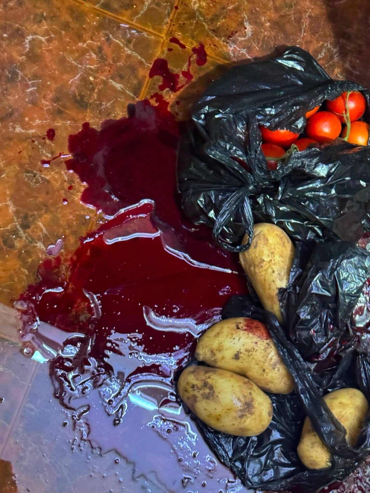 Thumbnail preview image for the video titled: Traces of blood of Fathi Khazem ‘Abu Raad’ following his execution t home by Israeli Special Forces
