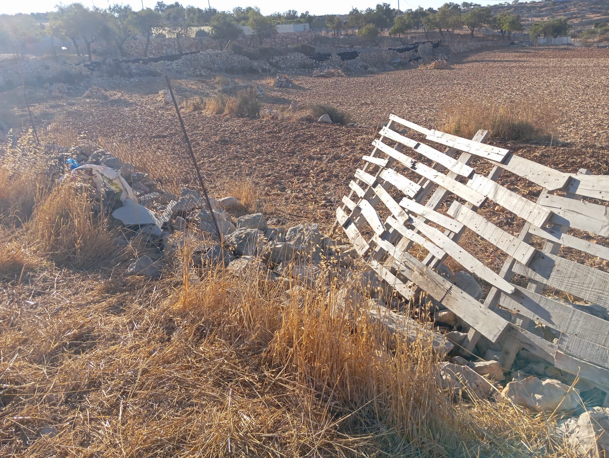 Thumbnail preview image for the video titled: Israeli settlers stormed a Palestinian agricultural land and cutting the fence in the village of Burqa
