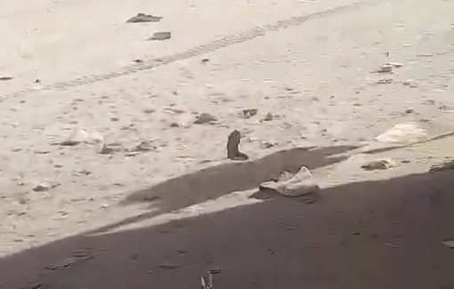 Thumbnail preview image for the video titled: First moments after Israel bombed a car in Gaza City