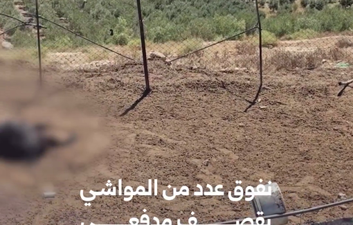 Thumbnail preview image for the video titled: Villager recounts how Israel massacred goats in Syria's countryside