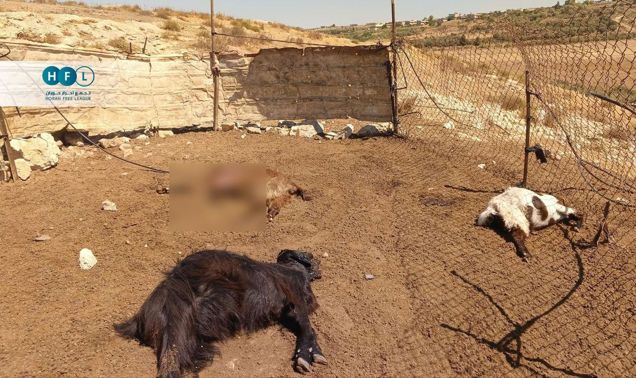 Thumbnail preview image for the video titled: Herd of goats killed by Israeli artillery in Syria's countryside