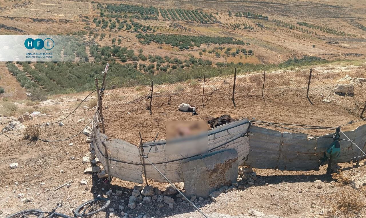 Thumbnail preview image for the video titled: Herd of goats killed by Israeli artillery in Syria's countryside