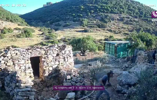 Thumbnail preview image for the video titled: Israeli settlers uprooted and destroyed 40 olive saplings in Deir Istiya, Salfit