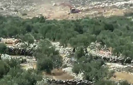 Thumbnail preview image for the video titled: Israeli forces uproot hundreds of olive trees during five days of bulldozing in the lands of Deir Ballut