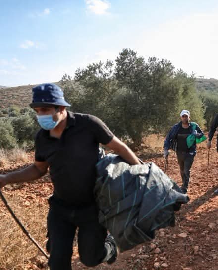 Thumbnail preview image for the video titled: Israeli forces prevent the harvesting of olives at Jabal al-‘Arma in Beita by fireing tear gas at farmers,