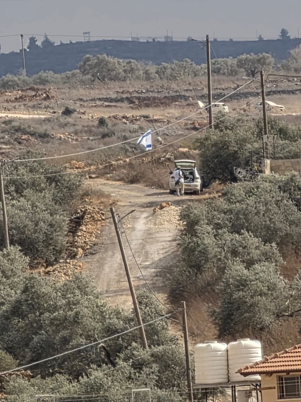 Thumbnail preview image for the video titled: Settlers steal olive crops from farmland in the Al-Hara'iq area of Beita, south of Nablus