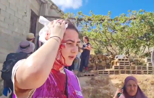 Thumbnail preview image for the video titled: Potective presence activists brutally attacked by masked settlers in the Palestinian village of Jannata during olive harvesth