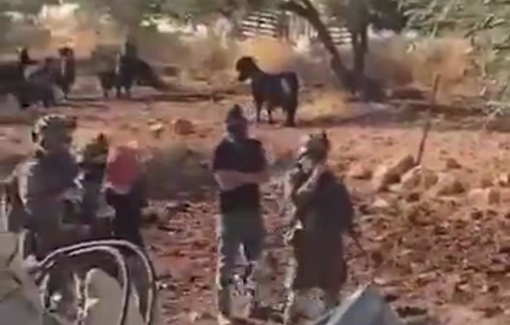 Thumbnail preview image for the video titled: Settlers grazed their livestock under military protection on land of Al-Mughayyir
