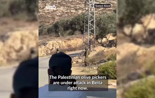 Thumbnail preview image for the video titled: Israeli settlers shoot at Palestinian olive pickers and journalists in Jabal Al-Arma, while soldiers fire tear gas to protect them