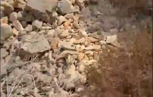 Thumbnail preview image for the video titled: Israeli settler gangs open fire on and attack Palestinian olive pickers across farmland in Aqraba