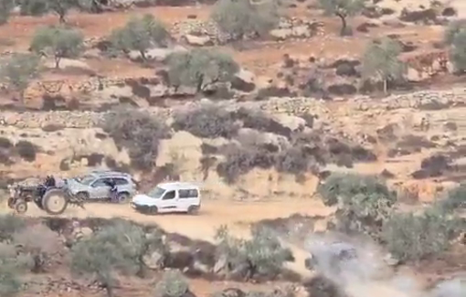 Thumbnail preview image for the video titled: Backed by the Israeli forces, dozen of settlers stormed the olive field and opened fire in Aqraba