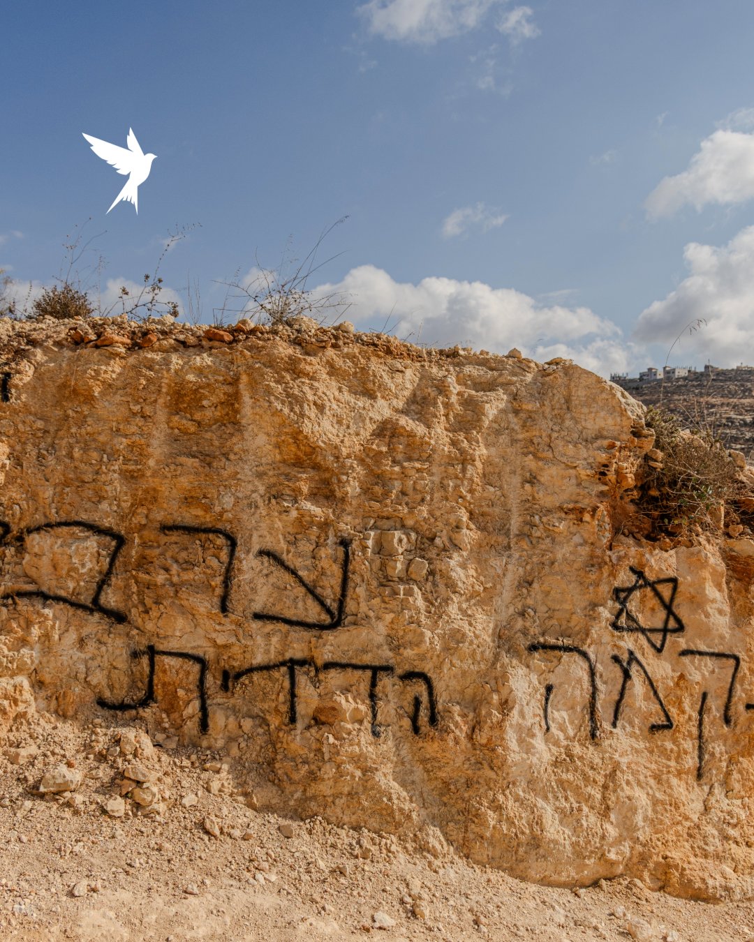 Thumbnail preview image for the video titled: Settlers spray-painted racist slogans calling for killing and revenge in Aqraba