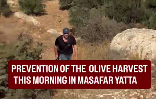 Thumbnail preview image for the video titled: In Khirbet Rakeez, Binyamin “Budi” Bodenheimer,began expelling the harvesters with threats