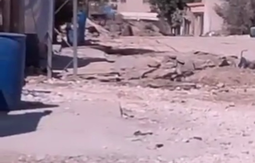 Thumbnail preview image for the video titled: iIsraeli forces destroying infrastructure during their raid on Jenin